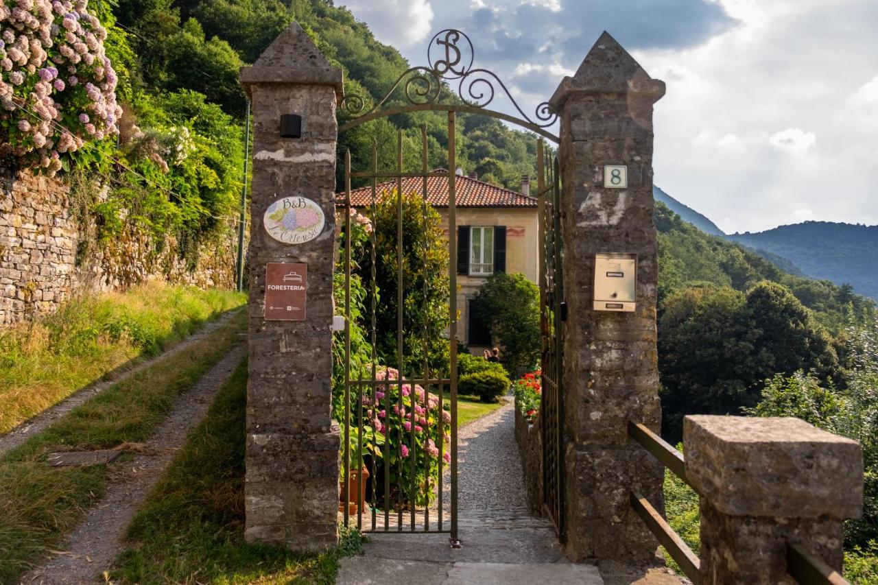 B&B Villa Le Ortensie Faggeto Lario Kültér fotó