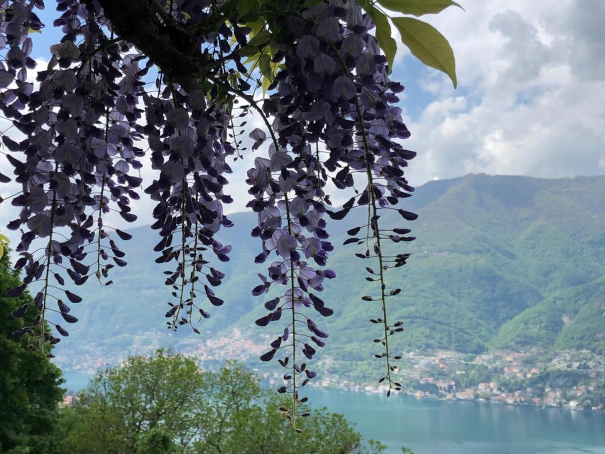 B&B Villa Le Ortensie Faggeto Lario Kültér fotó